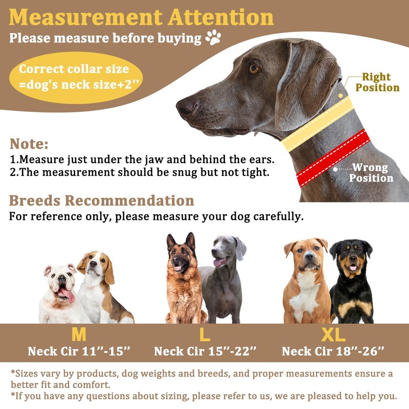 Mayerzon Martingale No Pull Dog Collar, Reflective Walking Collar for