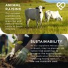 Ultimate Collagen Peptides by LLS - Hydrolysed Bovine Collagen Powder