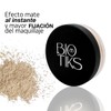 Polvo traslúcido efecto mate piel grasa (natural)