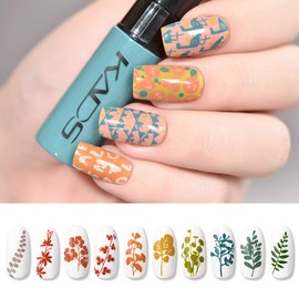 Alexnailart 5 Colours Nail Polish Set 2-Way Stamping Polish Manicure Design Transfer Tool