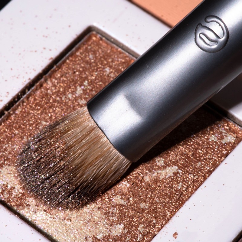 EcoTools Daily Defined Eye Makeup Brush Kit, Travel Friendly, Versatile