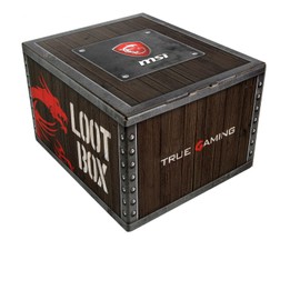MSI Loot Box Pack 2018 WW (Level 2, GT-/GS-/GE-Serie)