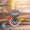 2GR Automatic Bird Feeder and Water Dispenser – Versatile Outdoor
