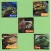 SmileMakers 15 Reptiles Large Stickers - Turtle, Snake, Frog, Iguana,