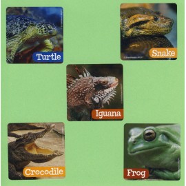 SmileMakers 15 Reptiles Large Stickers - Turtle, Snake, Frog, Iguana, Crocodile - Favors