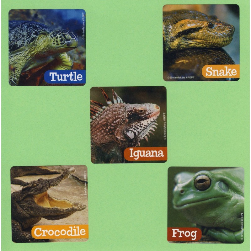 SmileMakers 15 Reptiles Large Stickers - Turtle, Snake, Frog, Iguana,