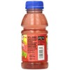 Langers Juice, Raspberry Lemonade, 10 Fl Oz (Pack of 12)
