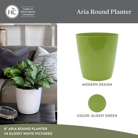 The HC Companies Aria Round Self-Watering Pot - Lightweight Plastic Planter for Herbs & More - Durable Plant Pots for Indoor Plants & Outdoor Plants (12" Glossy Avocado, Pack of 2)