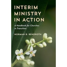 Interim Ministry in Action: A Handbook for Churches in Transition