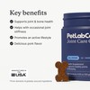 Petlab Co. Joint Care Chews for Dogs - High Levels