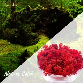 Moss Preserved Moss for Potted Plants Natural Fresh Green Reindeer Moss for Craft Arts Floral Wall Decor Decor Wedding Centerpieces Garden Artificial Terrariums Decoration for Christmas - Red 3.52OZ