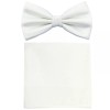 Vesuvio Napoli New formal Men's polyester pre-tied bow tie_hankie solid