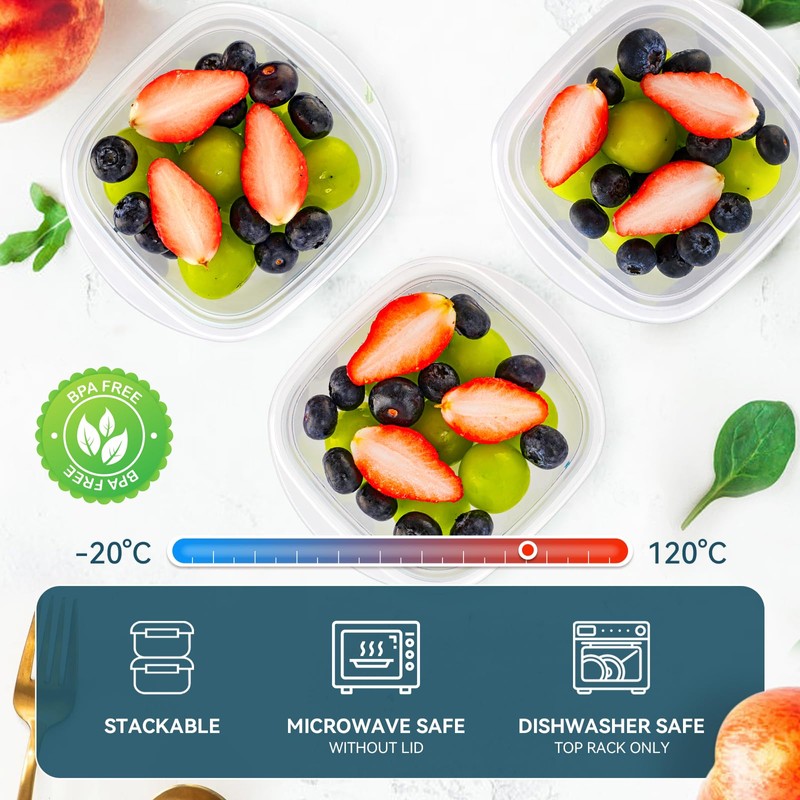 EFISH 10 Pieces Rectangle Plastic Portion Box Sets with Lid,