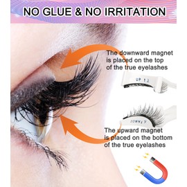 Magnetic Eyelashes, Magnetic Eyelashes Without Eyeliner (3)