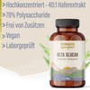 Beta Glucan Powder from 40:1 Oat Extract - 100 g