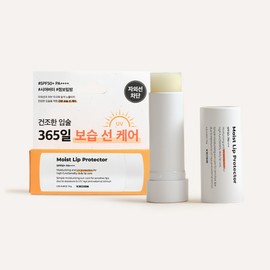 W Dress Room [1+1] W Dressroom Large Jumbo Lip Balm 10g (Nourishing/Moist) Lip Slow Aging / [1+1] 더블유드레스룸 대용량 점보립밤 10g (너리싱/모이스트) 립 슬로우에이징