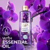 LUX Shower Gel Black Orchid Fragrance & Juniper Oil Bodywash