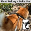 Waterproof Dog Collar, Odor-Proof and Easy to Clean Rubber Dog