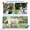 No Pull Dog Collar, Prong Collar for Small Medium Large