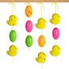 Highwild Shatterproof Shooting Targets with Hanging Rope, 6 Ducks +