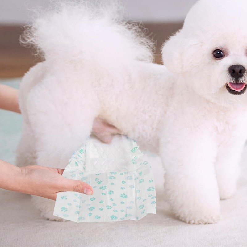 Fancy Pets Pañal para Perro Macho Tamaño Mediano con 12