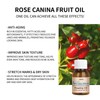 Rosehip Oil for Face Rosehip Seed Oil for Skin Care