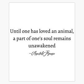Until One Has Loved An Animal, A Part Of One'S Soul Remains Unawakened Text Design Bumper Sticker Vinyl Decal 5"