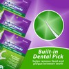 225 Piece BrightWorks Fresh Mint + Whitening Dental Flossers with