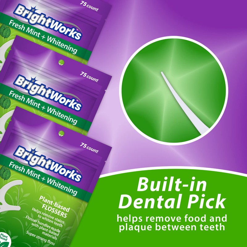 225 Piece BrightWorks Fresh Mint + Whitening Dental Flossers with