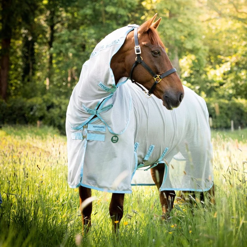 AmEco Bug Buster 81 Silver/Sky Blue