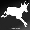 Express Yourself Running Pronghorn (White - Image Facing as Shown