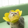 Jakonay 3-Piece Cat Recovery Collar Set - Sunflower Neck Cat