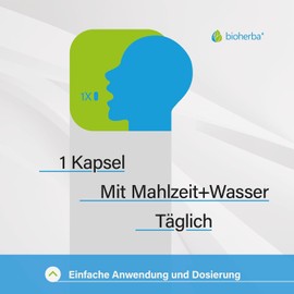 PABA Kapseln – 300 Stück mit 210 mg p-Aminobenzoesäure und Eisen von BIOHERBA PZN 18215453