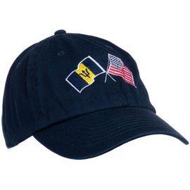 Ann Arbor T-shirt Co. Sombrero de béisbol de perfil bajo con bandera de American Friendship Nations para hombres y mujeres, Azul marino, Talla única