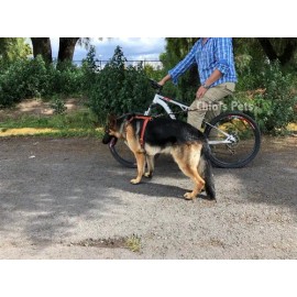Correa Perro Para Bicicleta