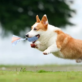 Pine Cone Dog Chew Toy,Squeaky Rope Dog Chew Toy with Teething Strips - Puppy Chew Toys, Pet Toys for Teething, Dog Toy for Pets, Dog Training, Energy Consuming