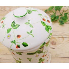 Royal Arden Sanitary Box Corner Pot Strawberry 39273