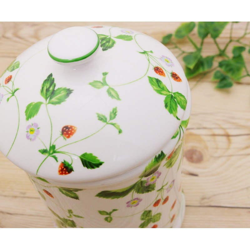 Royal Arden Sanitary Box Corner Pot Strawberry 39273