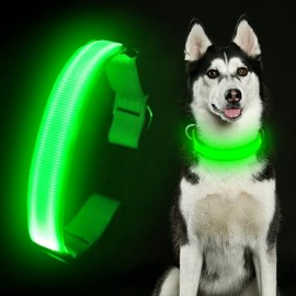 Colaseeme LED Dog Collar Light Up Dog Collars Micro USB Rechargeable Adjustable Nylon Webbing Plastic Buckle D Ring Glow Safety Basic Dog Collars for Dogs [Green, L-(21.2''-26''/54-66 cm)]
