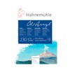 Hahnemühle Oil Acrylic – 10 Sheets, 210 g, See Description,