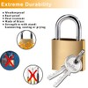 PLABBDPL 2 x Small Padlocks with Keys, Suitcase Lock Mini