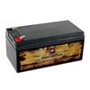 Pirate Battery 12V 3.5AH Maintenance-Free Battery for Alarm Systems, Scooters,