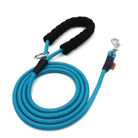Aiminto Dog Leash, Braided Rope Traction – Walking Training Lead for Small Dogs ((1/3") x 6FT, Light Blue)