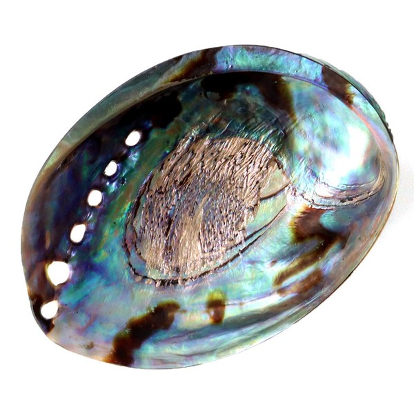 Gold Stone Abalone Shell White Sage Purification Purification Purification Amulet
