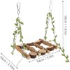 LimCryspp Natural Wooden Parrot Swing, A Suspended Gnawing Toy with