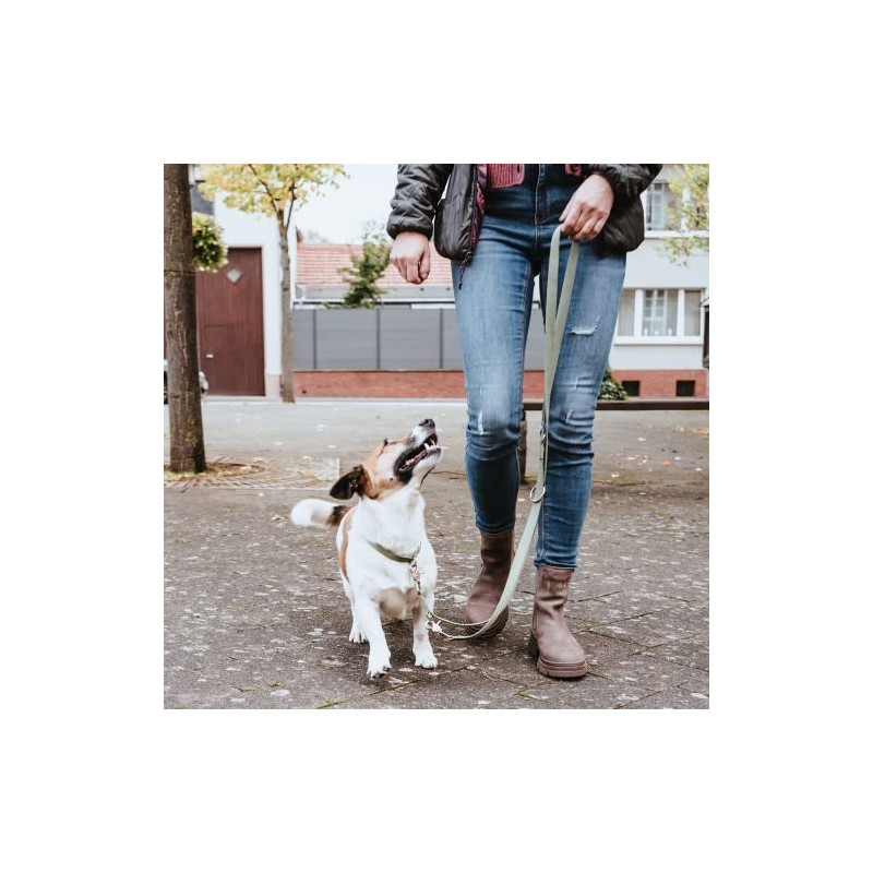 HUNTER Inari Adjustable Lead Size 20/200 Lime Green