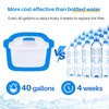 ICEPURE JFC001 Pitcher Water Filter Compatible with Brita Maxtra+/Maxtra/Mava, 1001122,