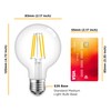 Hudson 6W Edison LED Light Bulb - G25 Globe, 4-Pack,