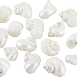 PH PandaHall 16pcs Natural Spiral Shell Beads, 0.8~1.1 Inch Mouth Turbo Seashells Undrilled Spiral Seashells NO Hole Shells for Home Party Wedding Decor Fish Tank Vase Filler, Antique White