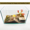 Hermit Crab Hideaway,Underground Habitat and Climbing Toy, 3D Printed Shelter